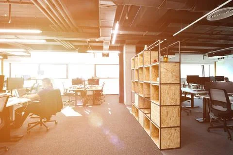 Software developers working at office software developers working everyday... Foto stock