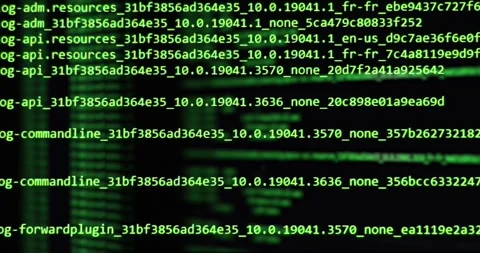 Software development and hacking concept. Close-up of computer screen Stock Footage 256000256