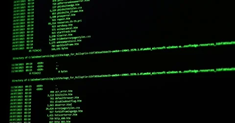 Software development and hacking concept. Close-up of computer screen Stock Footage 256000456