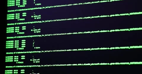 Software development and hacking concept. Close-up of computer screen Stock Footage 256000503