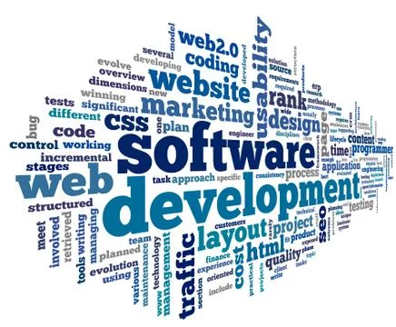 Software development concept in tag cloud Stock Illustration