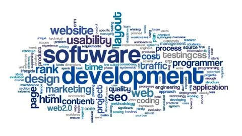 Software development concept in tag cloud Stock Illustration