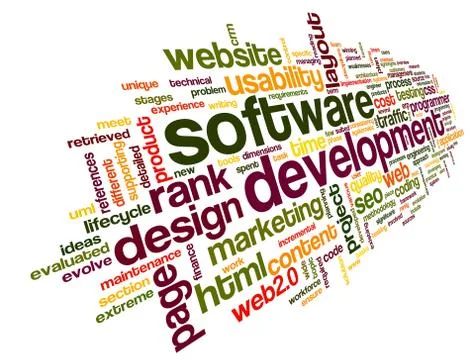 Software development concept in tag cloud Stockillustratie