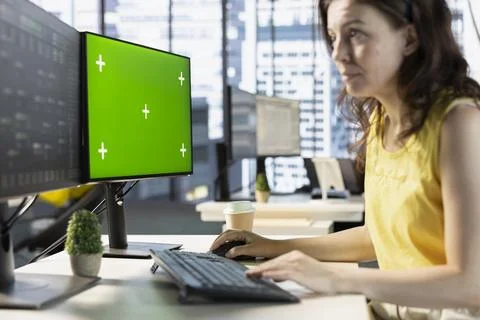 Software engineer checking code on chroma key PC 写真素材