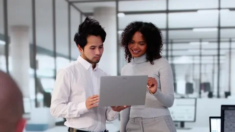 Software Engineer Developers Using Laptop Computer Stock Footage 291313165