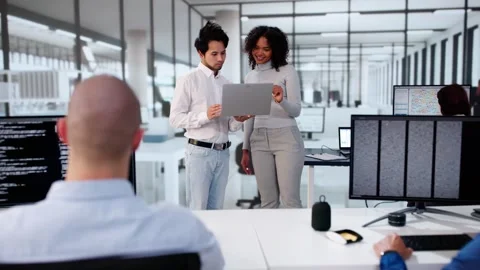 Software Engineer Developers Using Laptop Computer Stock Footage 293114865