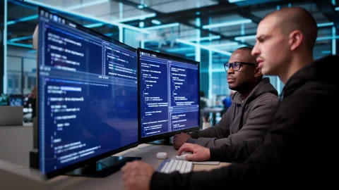Software Engineers Collaborate Closely Stock Footage 335878249