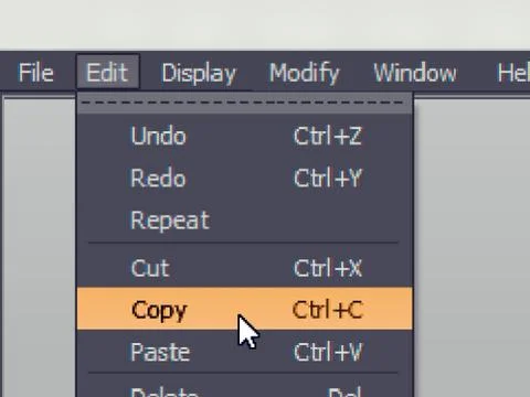 Software menu item with copy command Stock Illustration