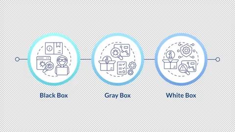 Software penetration testing methods infographic circles animation Stock Footage 296623897