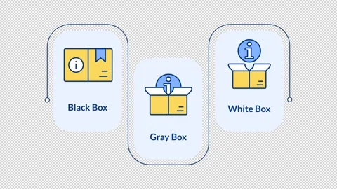 Software penetration testing methods infographic animation rectangle Stock Footage 313980878