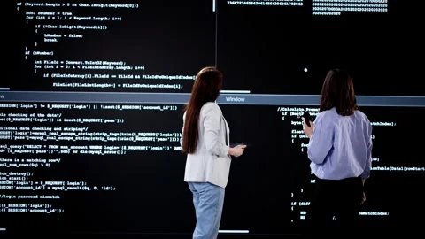 Software Programmer Or Coder Women Doing Code Stock Footage 304177827