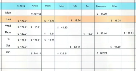 Software screen of business excel report for corner pin shots - V1 Basic Version Stock Footage 75431743