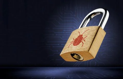 Software security concept. Errors in the program. Bugs in the program. The pr Foto stock