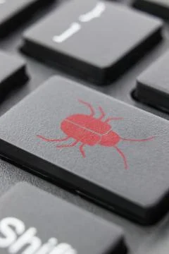 Software security concept. Errors in the program. Bugs in the program. The pr Foto stock