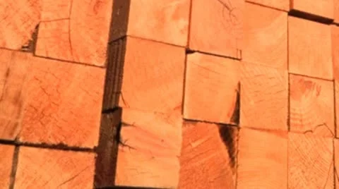 Softwood lumber Stock Footage 21298758