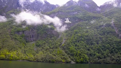 Sognefjord Stock Footage 76792103