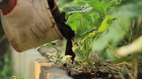 Soil and Composting Stock Footage 146902544