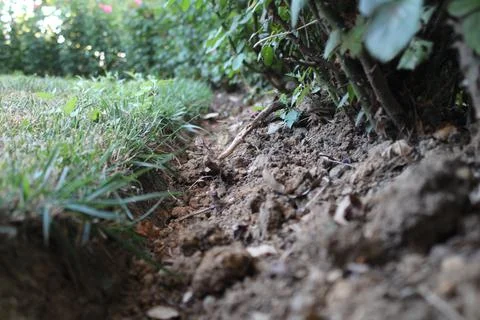 Soil and Grass Stock Photos