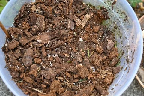 Soil and mulch in a plastic pot Photos