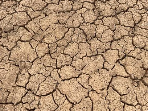 Soil arid texture abstract background . Stock Photos