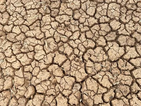 Soil arid texture abstract background . Stock Photos