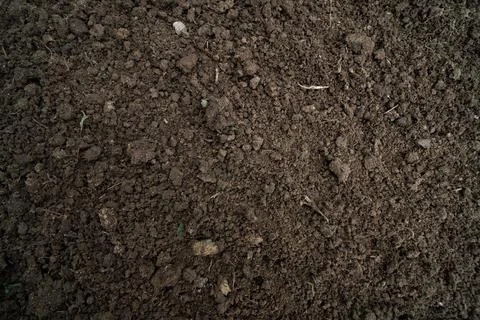 Soil background brow texture on earth Stock Photos