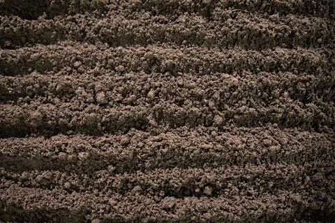 Soil background frames earthy ground. Fertile soil fills macro surface. Pla.. Stock Photos