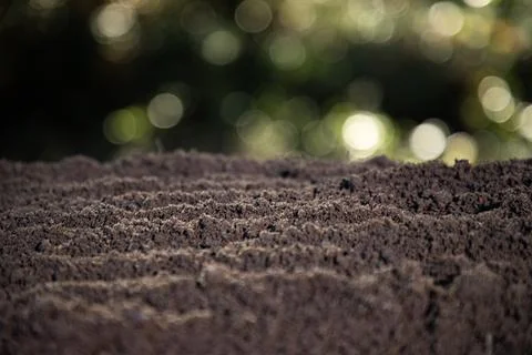 Soil background frames earthy ground. Fertile soil fills macro surface. Plant Stock Photos