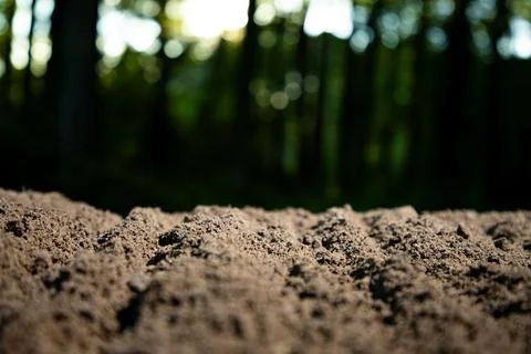 Soil background for green projects. Soil texture supports nature themes. Soil Stock Photos