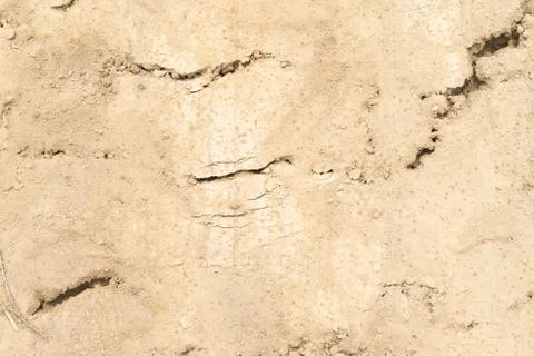 Soil background, pattern Foto stock