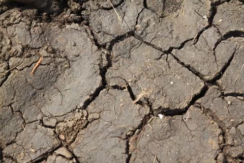 Soil background Stock Photos