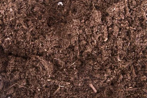 Soil background Stock Photos