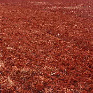 Soil background Stock Photos