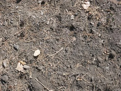 Soil background texture. The concept of the soil with small details. Stock Photos