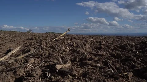 Soil background on video close-up. Selective focus. Nature for farmer growing Stock Footage 307414471