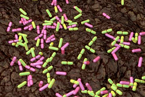Soil bacteria of different species Stock Illustration