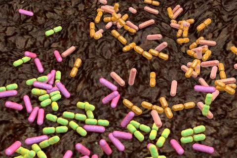 Soil bacteria of different species Illustrazione stock