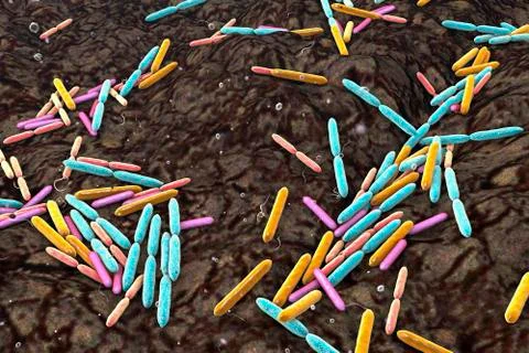 Soil bacteria of different species Stock Illustration