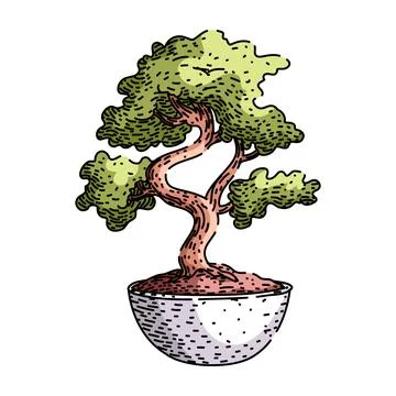 Soil bonzai tree sketch hand drawn vector Stock Illustration