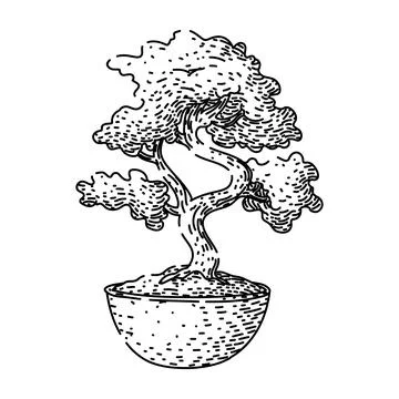 Soil bonzai tree sketch hand drawn black Stock Illustration