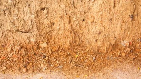 Soil cement wall. Stock Photos