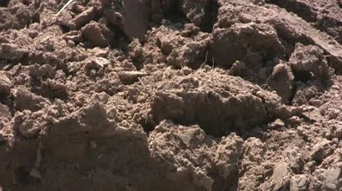 Soil, close up Stock Footage 10606269