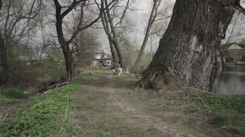 Soil contamination with garbage broken bottles plastic Video stock 145771474