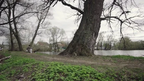 Soil contamination with garbage broken bottles plastic Video stock 145771482