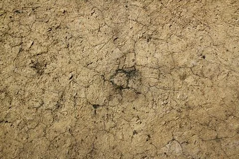 Soil with crack as the background texture Stock Photos
