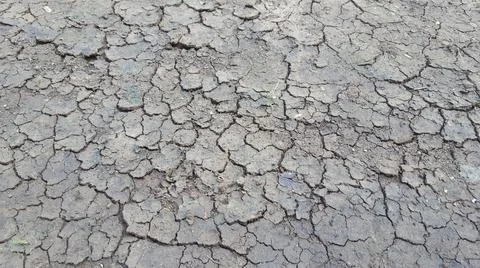 Soil crack Stock Photos