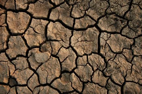 Soil cracked background. Stock Photos