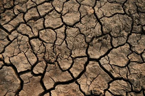 Soil cracked background. Stock Photos