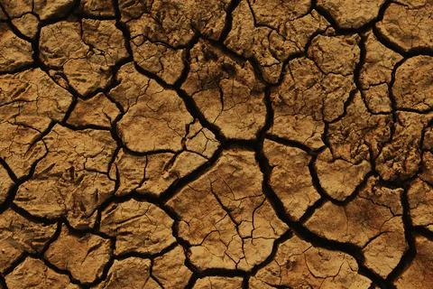 Soil cracked background. Stock Photos