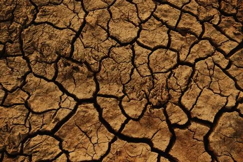 Soil cracked background. Stock Photos